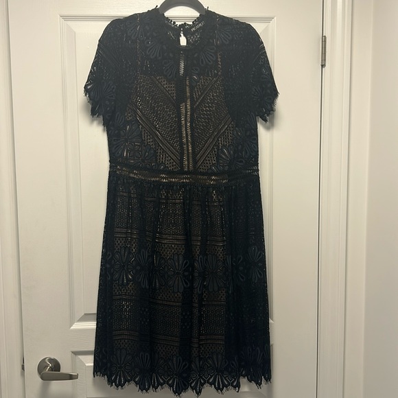 Piccadilly Lace dress - Picture 1 of 6